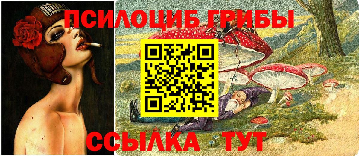 Галлюциногенные грибы GOLDEN TEACHER  Галлюциногенные грибы Cubensis  Чусовой  Вход с VPN 